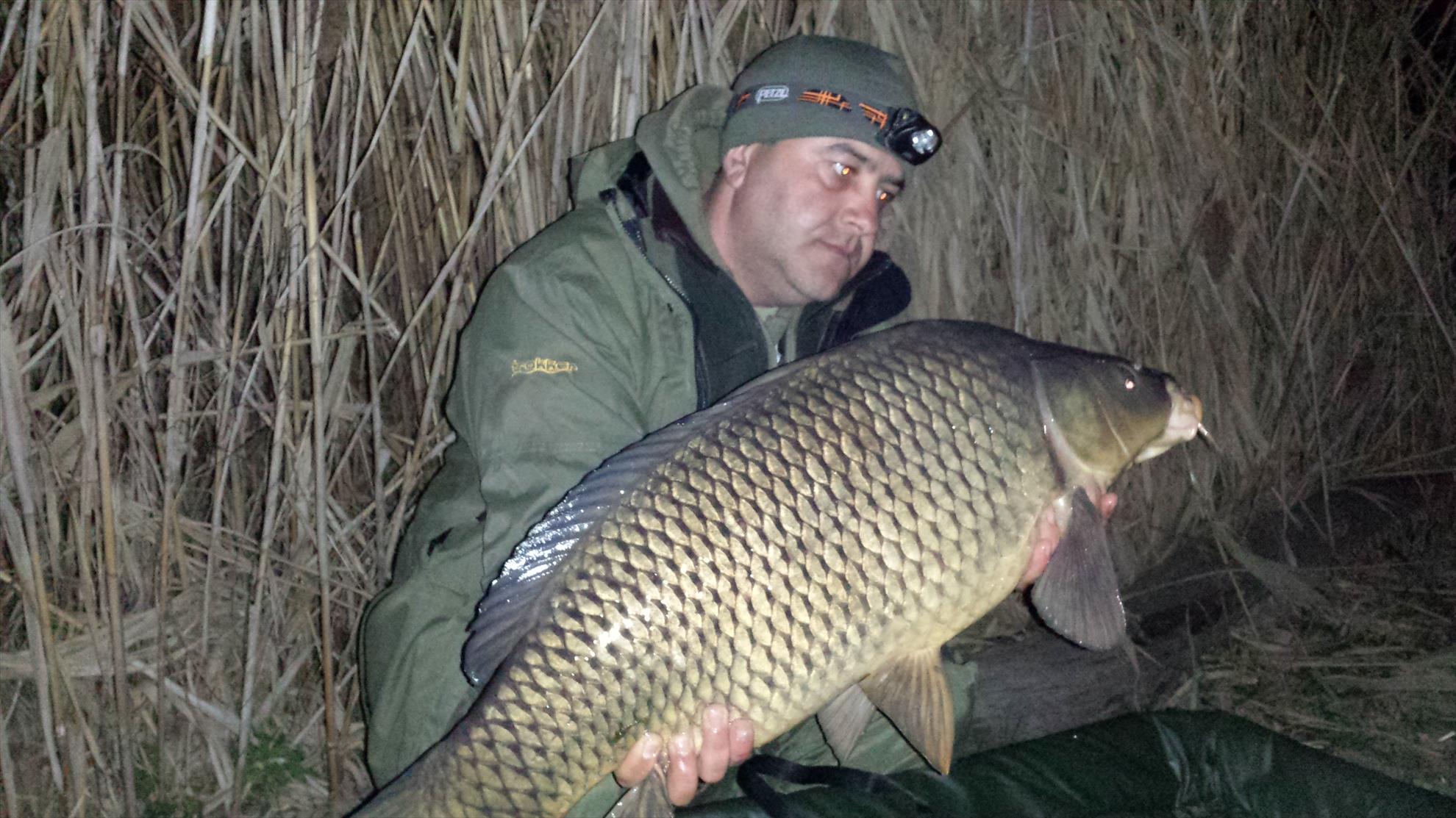 Tancabesti 14 - 16 mar. - 2014-03-15-205747.jpg